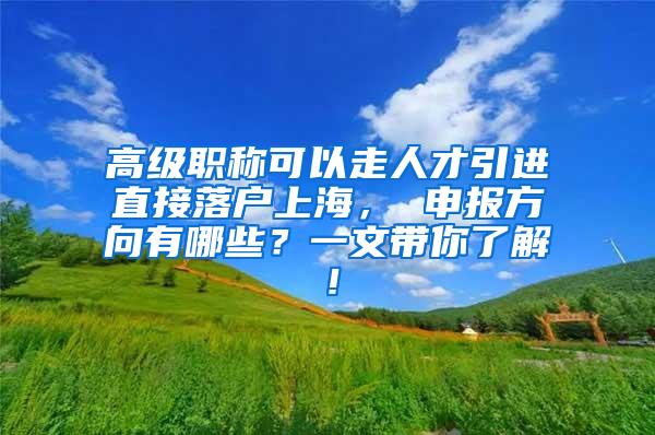 高级职称可以走人才引进直接落户上海， 申报方向有哪些？一文带你了解！