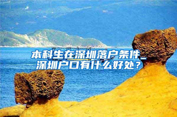 本科生在深圳落户条件_深圳户口有什么好处？