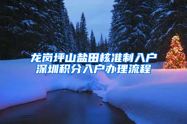 龙岗坪山盐田核准制入户深圳积分入户办理流程