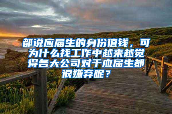 都说应届生的身份值钱，可为什么找工作中越来越觉得各大公司对于应届生都很嫌弃呢？