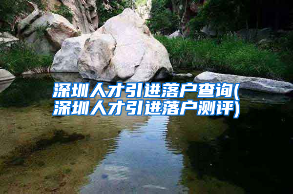 深圳人才引进落户查询(深圳人才引进落户测评)