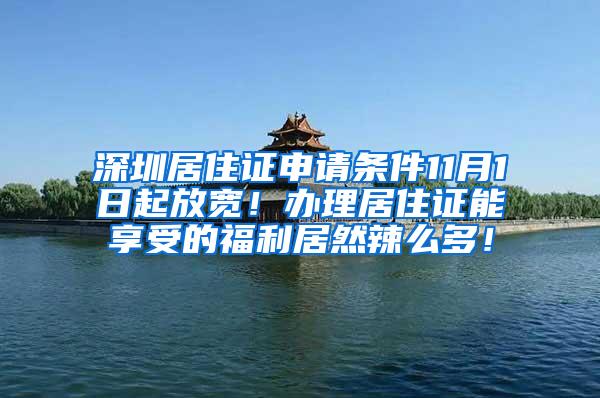 深圳居住证申请条件11月1日起放宽！办理居住证能享受的福利居然辣么多！