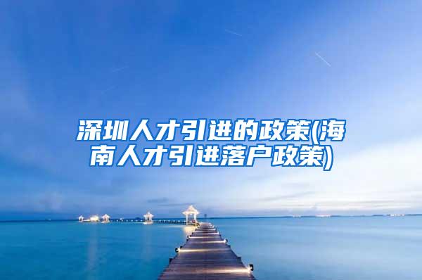 深圳人才引进的政策(海南人才引进落户政策)