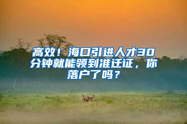 高效！海口引进人才30分钟就能领到准迁证，你落户了吗？