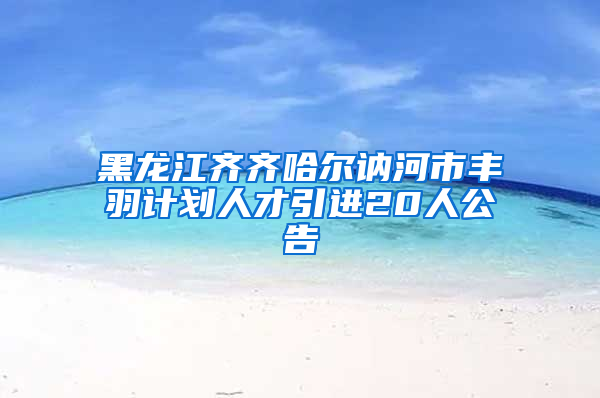 黑龙江齐齐哈尔讷河市丰羽计划人才引进20人公告