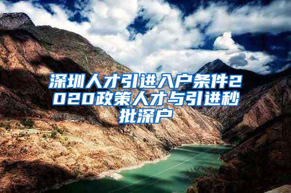 深圳人才引进入户条件2020政策人才与引进秒批深户