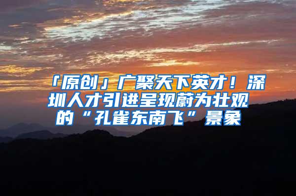 「原创」广聚天下英才！深圳人才引进呈现蔚为壮观的“孔雀东南飞”景象