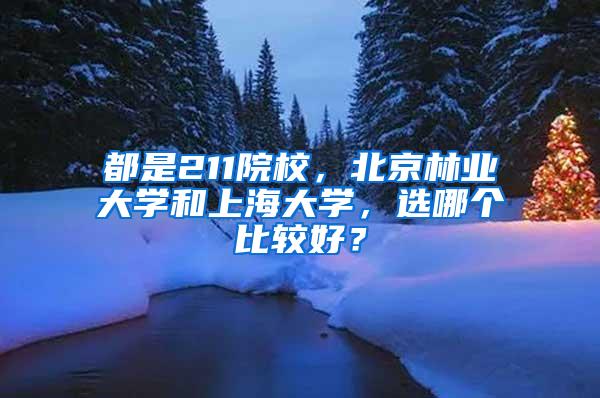 都是211院校，北京林业大学和上海大学，选哪个比较好？