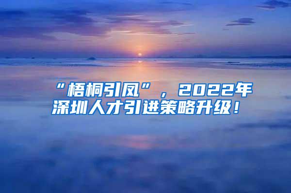 “梧桐引凤”，2022年深圳人才引进策略升级！