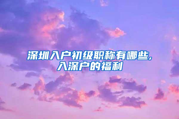 深圳入户初级职称有哪些,入深户的福利