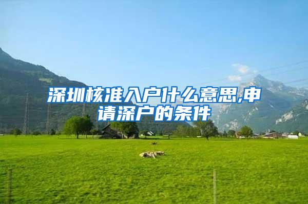 深圳核准入户什么意思,申请深户的条件