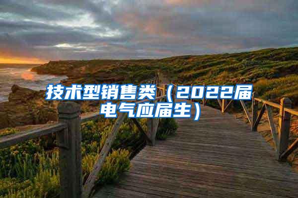 技术型销售类（2022届电气应届生）