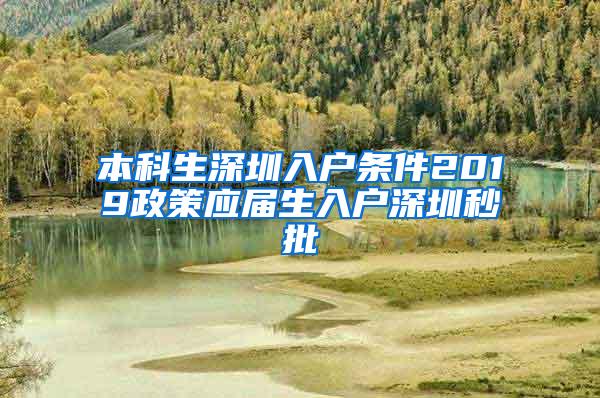 本科生深圳入户条件2019政策应届生入户深圳秒批
