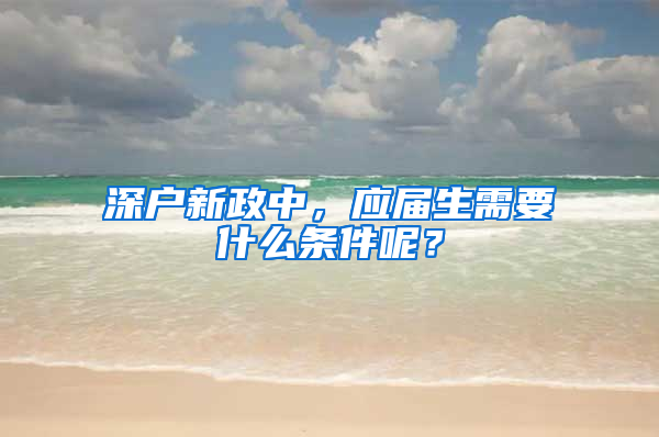 深户新政中，应届生需要什么条件呢？