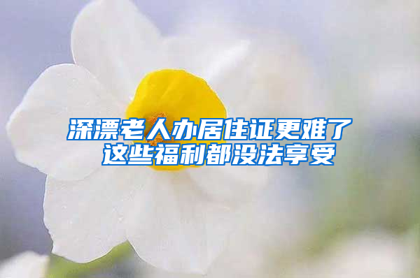 深漂老人办居住证更难了 这些福利都没法享受