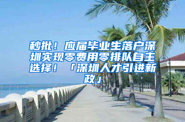 秒批！应届毕业生落户深圳实现零费用零排队自主选择！「深圳人才引进新政」