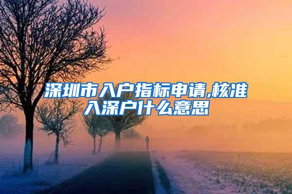 深圳市入户指标申请,核准入深户什么意思