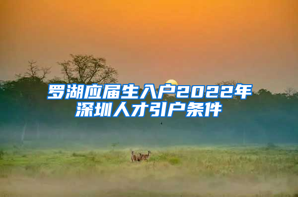 罗湖应届生入户2022年深圳人才引户条件