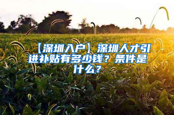 【深圳入户】深圳人才引进补贴有多少钱？条件是什么？