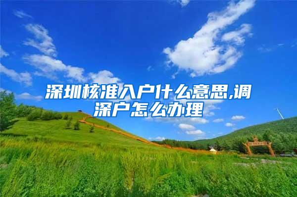 深圳核准入户什么意思,调深户怎么办理