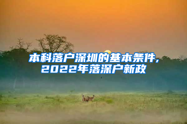 本科落户深圳的基本条件,2022年落深户新政