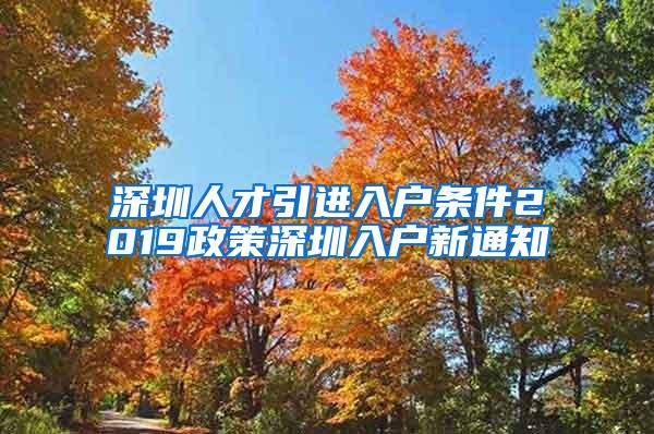 深圳人才引进入户条件2019政策深圳入户新通知