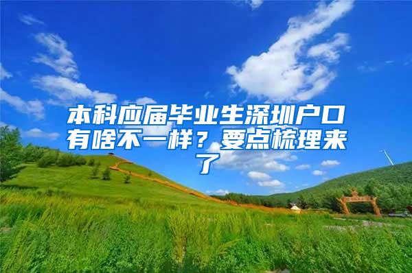 本科应届毕业生深圳户口有啥不一样？要点梳理来了