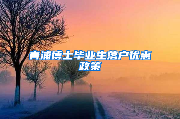 青浦博士毕业生落户优惠政策