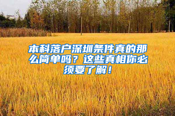 本科落户深圳条件真的那么简单吗？这些真相你必须要了解！