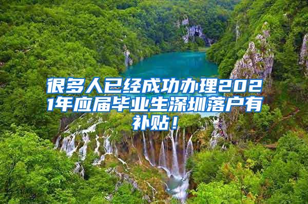 很多人已经成功办理2021年应届毕业生深圳落户有补贴！