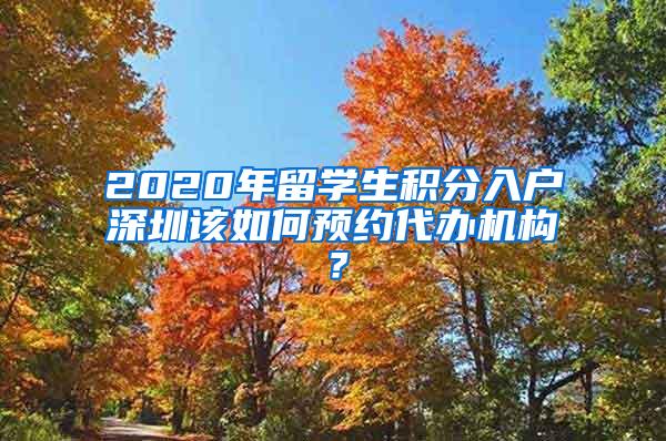 2020年留学生积分入户深圳该如何预约代办机构？