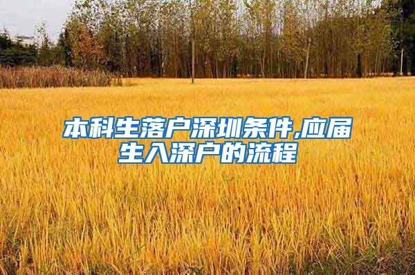 本科生落户深圳条件,应届生入深户的流程