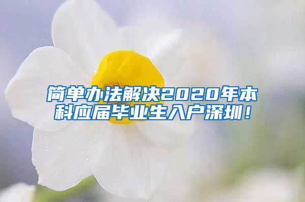 简单办法解决2020年本科应届毕业生入户深圳！