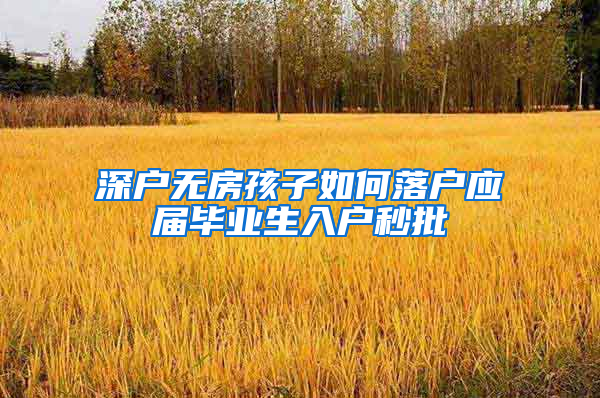 深户无房孩子如何落户应届毕业生入户秒批