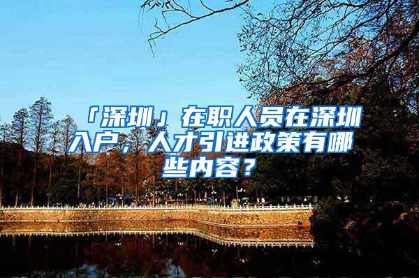 「深圳」在职人员在深圳入户，人才引进政策有哪些内容？