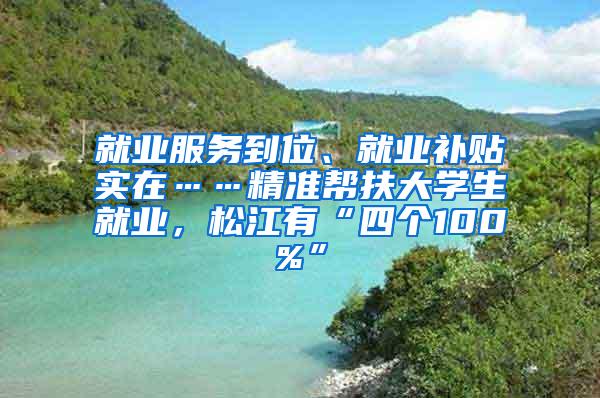 就业服务到位、就业补贴实在……精准帮扶大学生就业，松江有“四个100%”