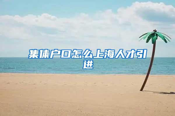 集体户口怎么上海人才引进