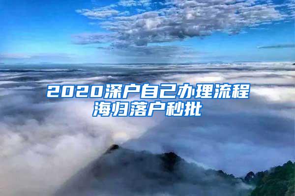 2020深户自己办理流程海归落户秒批