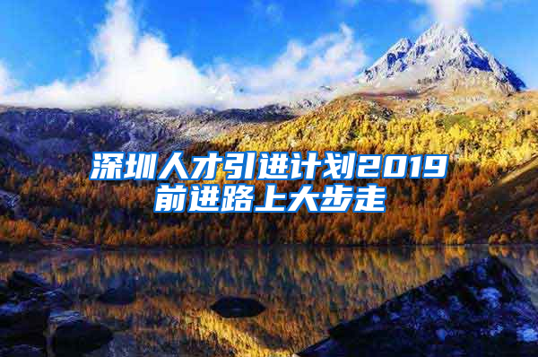 深圳人才引进计划2019前进路上大步走