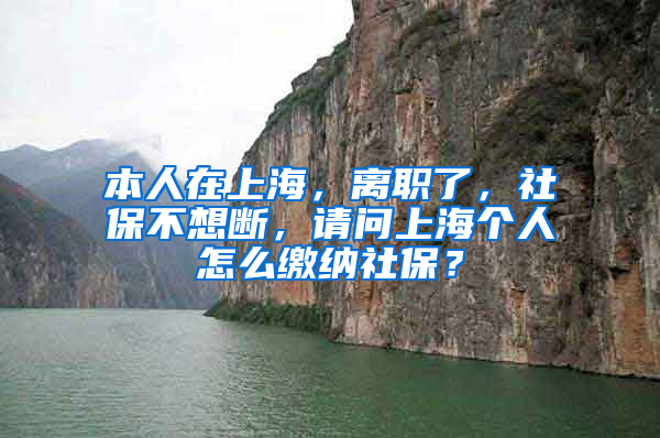 本人在上海，离职了，社保不想断，请问上海个人怎么缴纳社保？