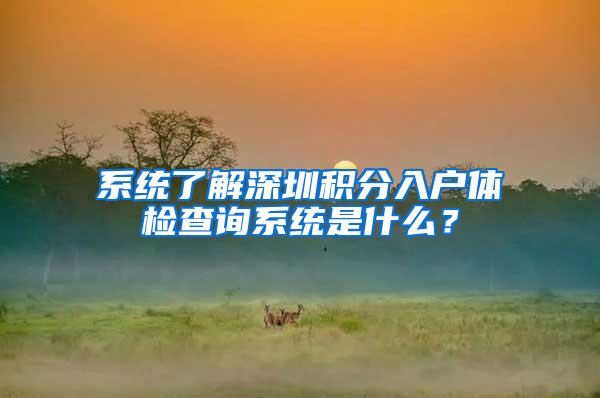 系统了解深圳积分入户体检查询系统是什么？