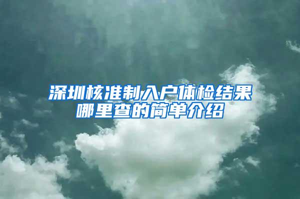 深圳核准制入户体检结果哪里查的简单介绍