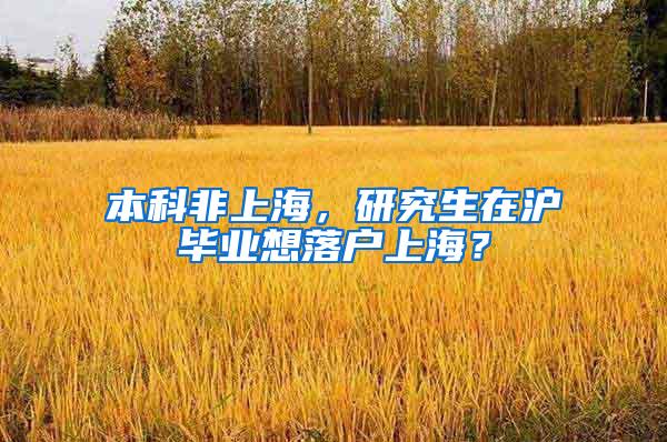 本科非上海，研究生在沪毕业想落户上海？