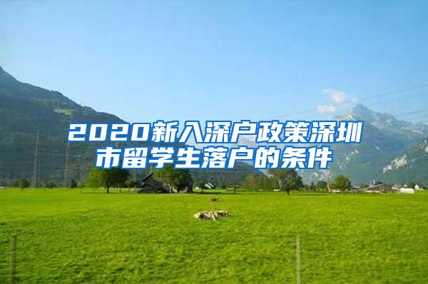 2020新入深户政策深圳市留学生落户的条件