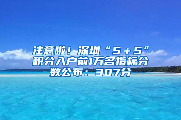 注意啦！深圳“5＋5”积分入户前1万名指标分数公布：307分