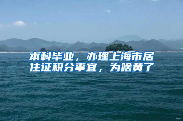 本科毕业，办理上海市居住证积分事宜，为啥黄了