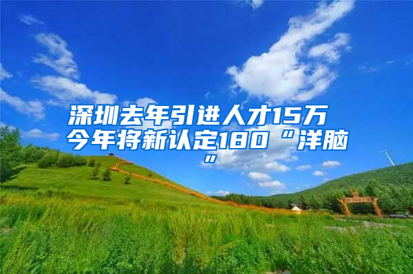 深圳去年引进人才15万 今年将新认定180“洋脑”