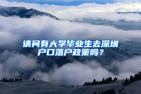 请问有大学毕业生去深圳户口落户政策吗？