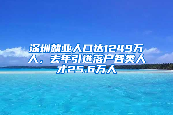 深圳就业人口达1249万人，去年引进落户各类人才25.6万人