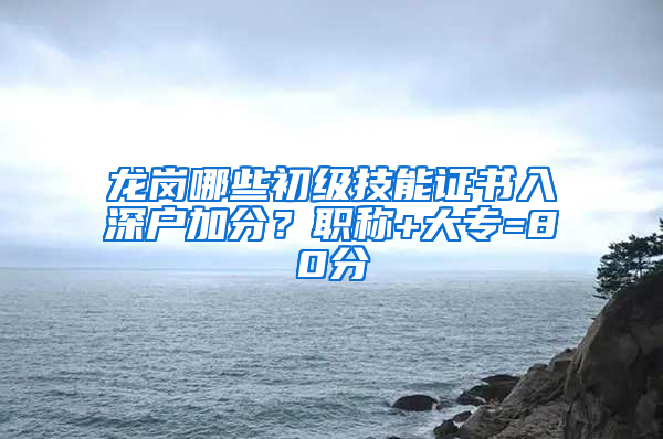 龙岗哪些初级技能证书入深户加分？职称+大专=80分